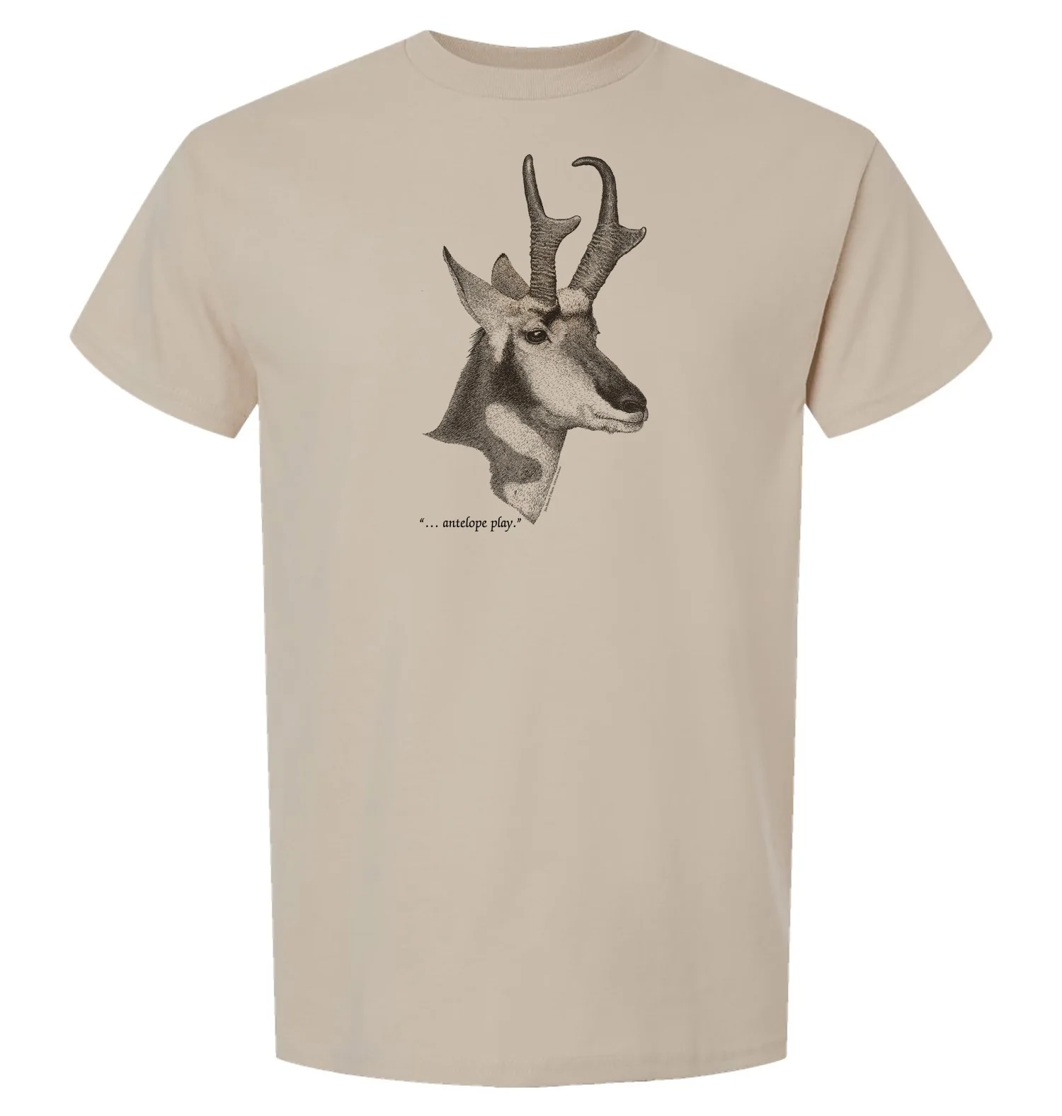 Pronghorn - Image 2