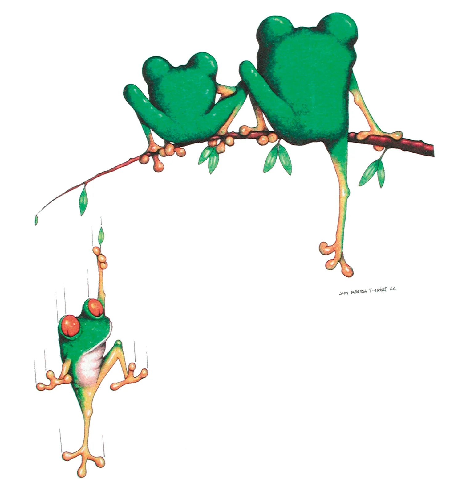 Frog Family - Image 2