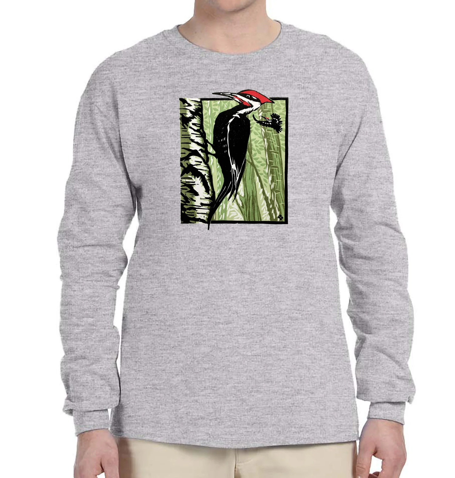 Pileated Woodpecker - Image 5