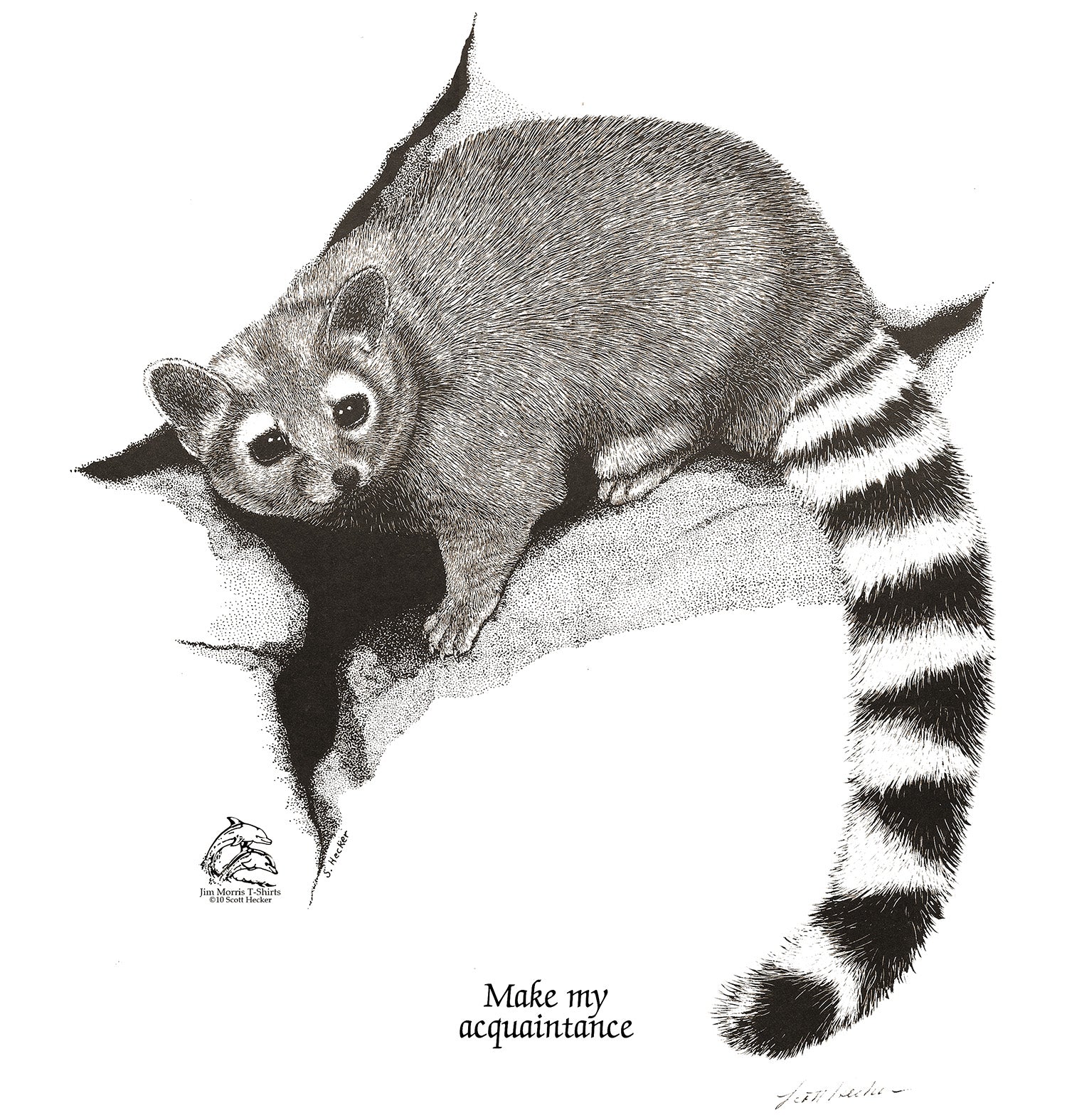 Ringtail