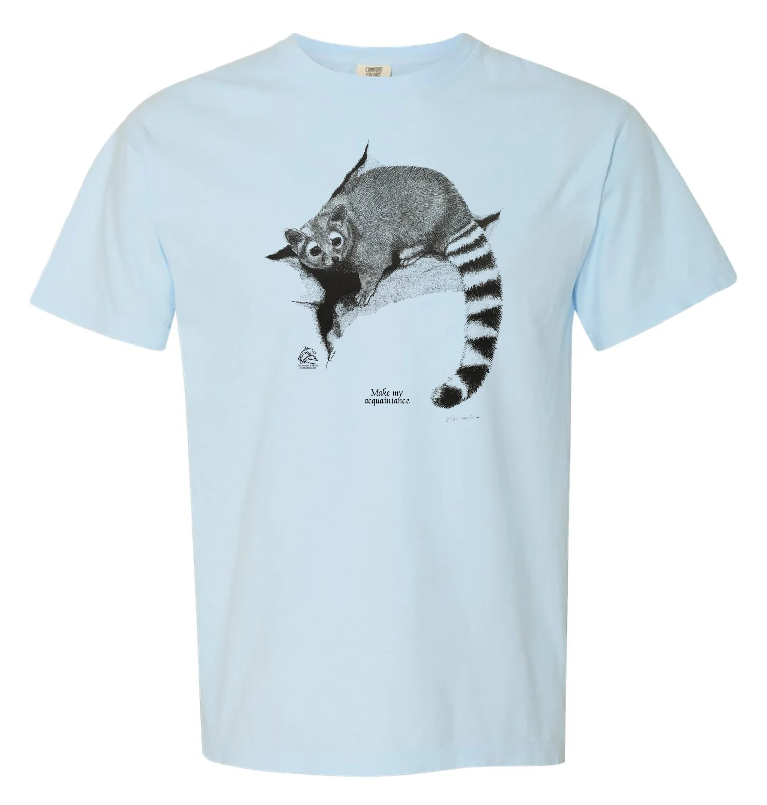 Ringtail - Image 2