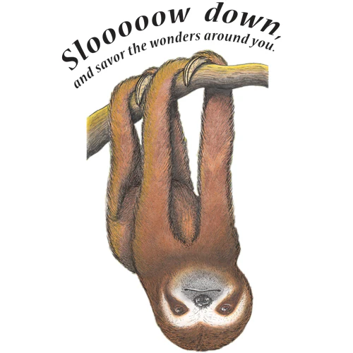 Slow Down