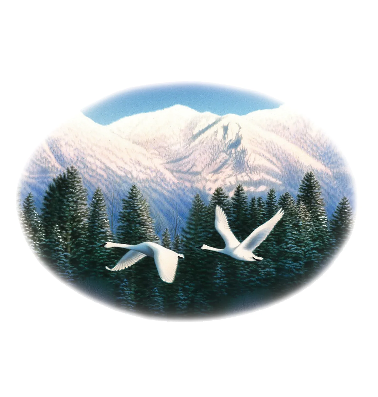 Swans