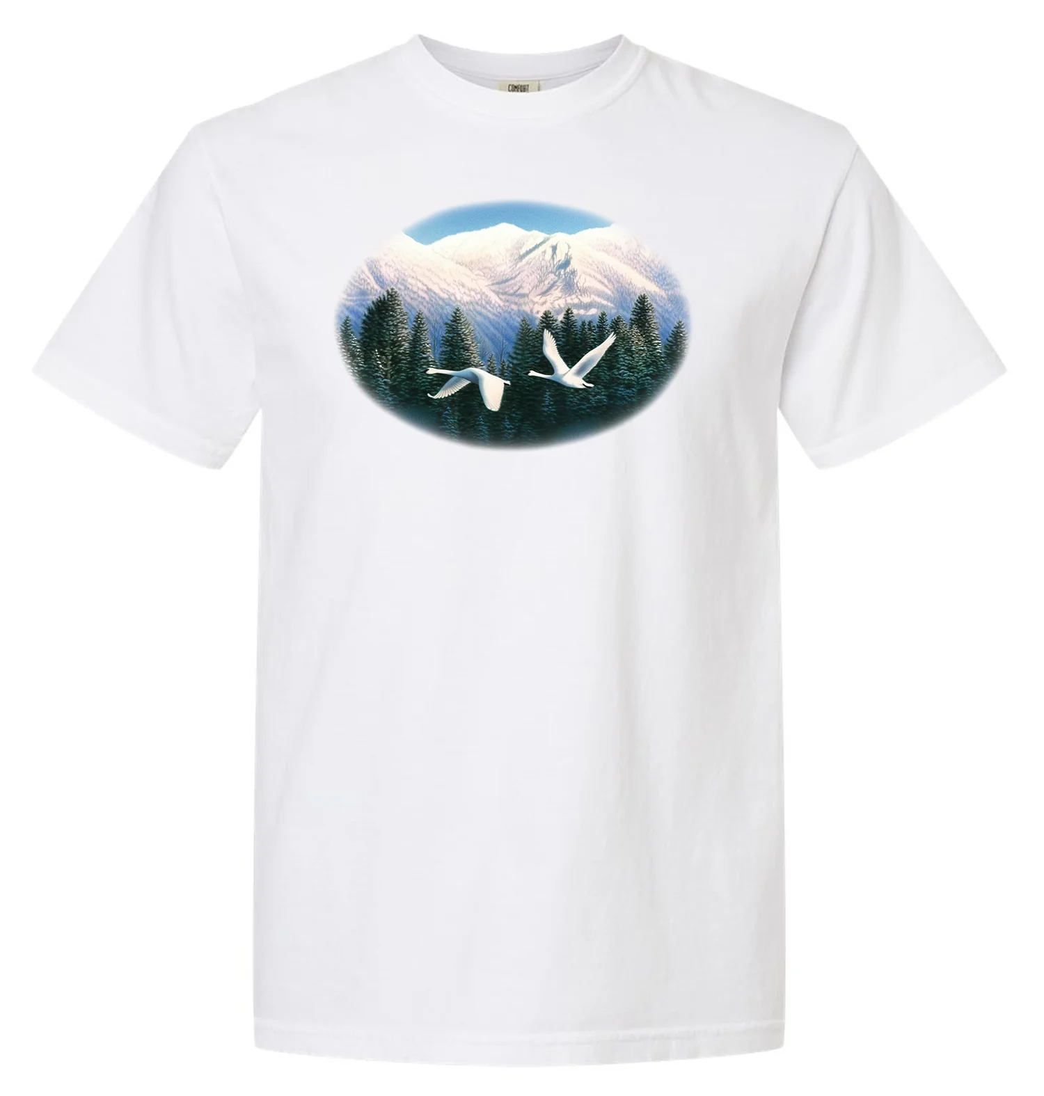 Swans - Image 2